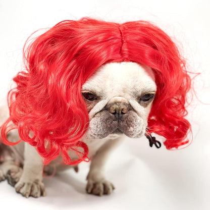 Funny Pet Wig Costume Collection