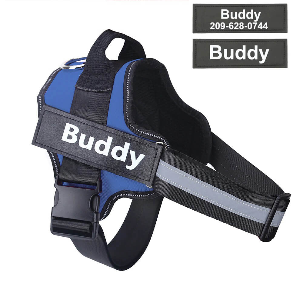 Adjustable Personalized Dog Harness Available For Dropshipping Worldwide Supply