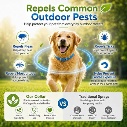 Natural Essential Oil Flea Collar Bug Repellent Collar For Dogs