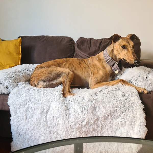Anti Anxiety Calming Pet Bed Sofa Furniture Protector Cushion Mat