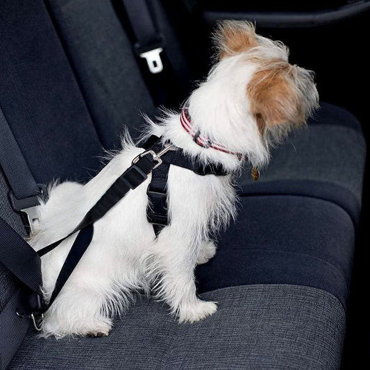 Adjustable Safety Pet Car Seat Belt For Dogs Vehicle Travel Protection