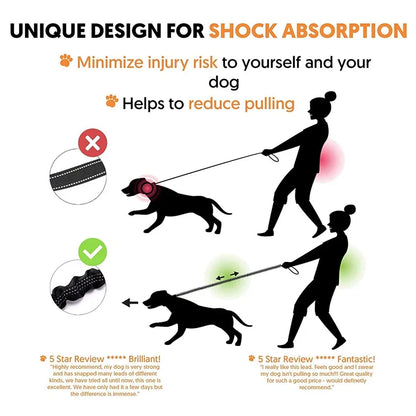 Elastic Reflective Dog Leash With Padded Handle For Medium Dogs And Cats Daily Walking