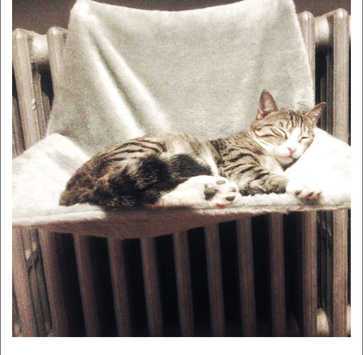 Comfortable Hanging Lounge Hammock Bed Suitable For Cats Daily Rest