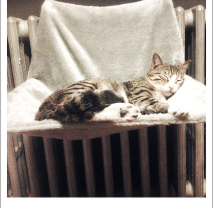 Comfortable Hanging Lounge Hammock Bed Suitable For Cats Daily Rest