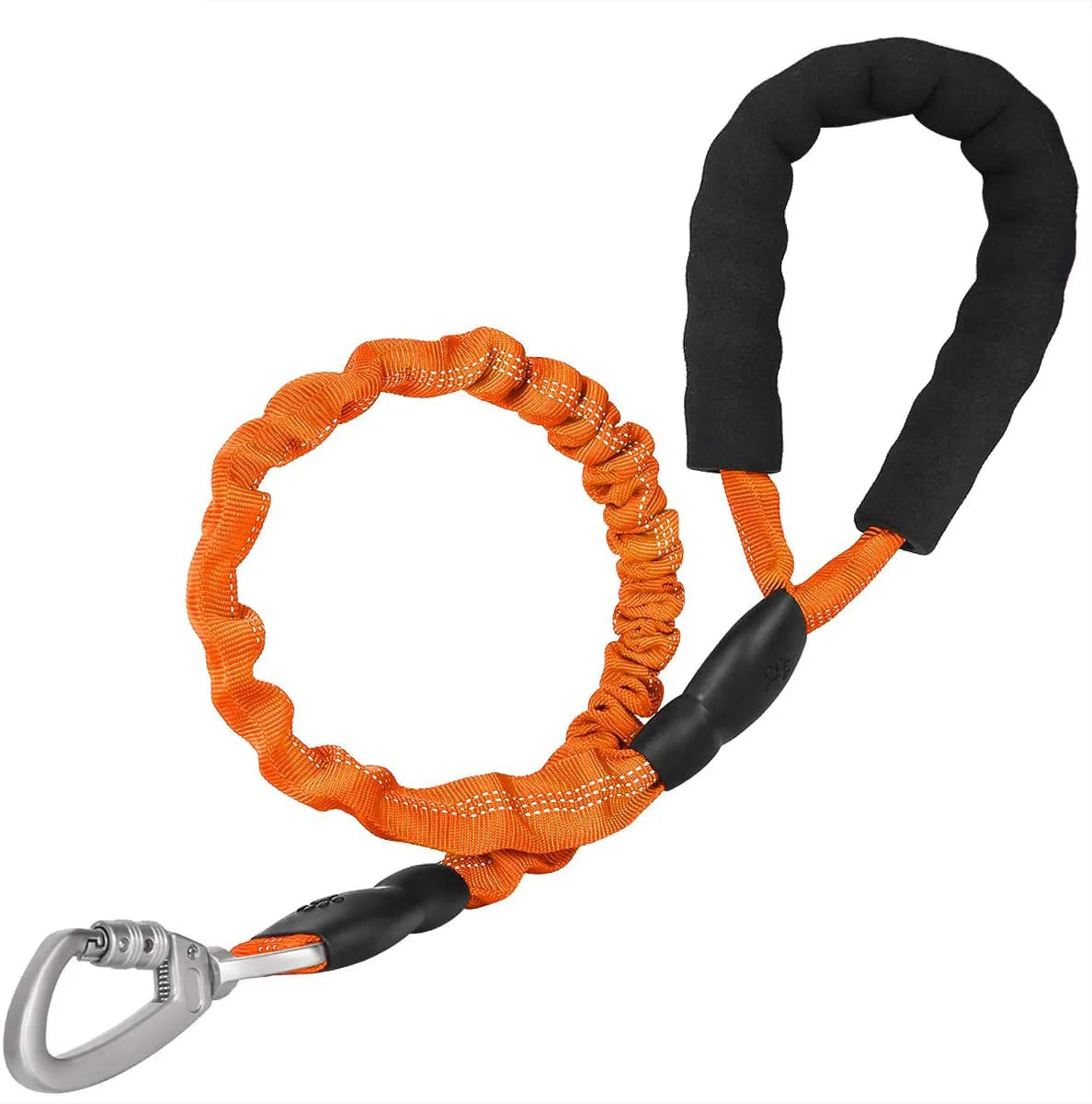 Elastic Reflective Dog Leash With Padded Handle For Medium Dogs And Cats Daily Walking