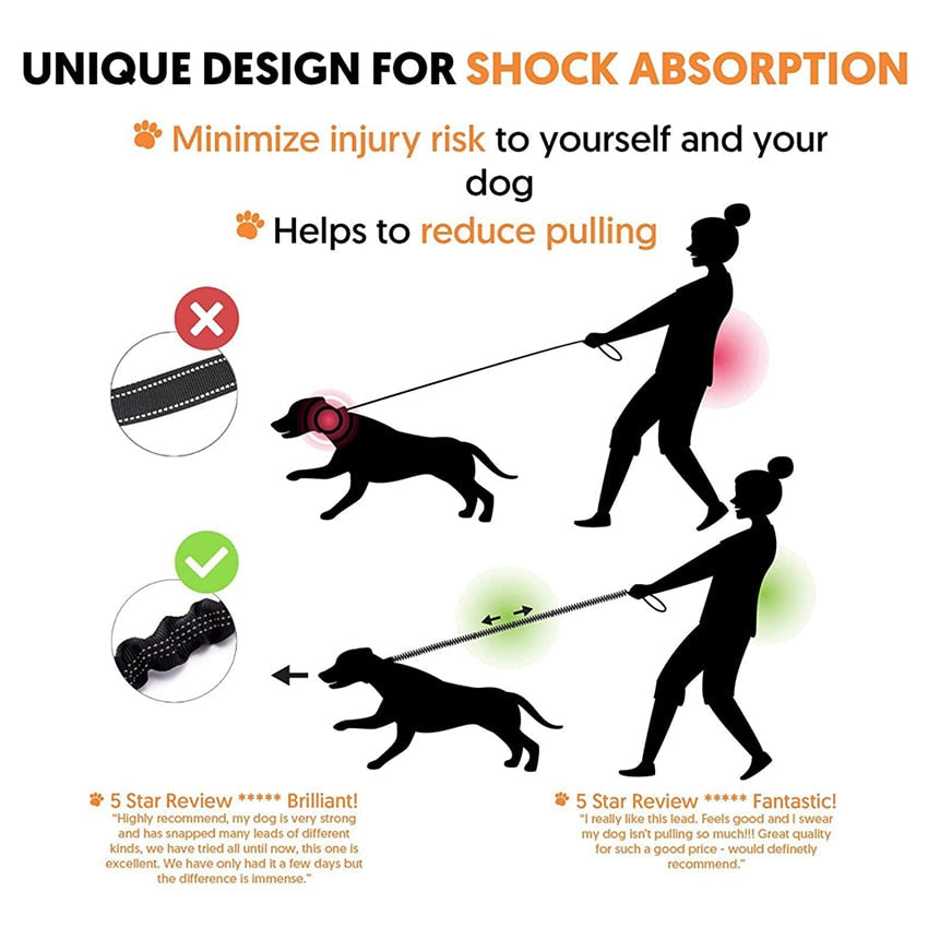 Elastic Reflective Stretch Dog Leash Safe Walking Rope For Dogs Daily Outdoor Use