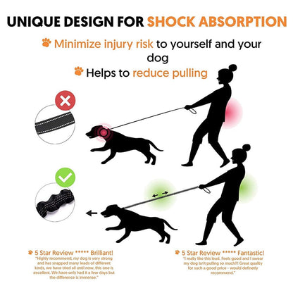 Elastic Reflective Stretch Dog Leash Safe Walking Rope For Dogs Daily Outdoor Use