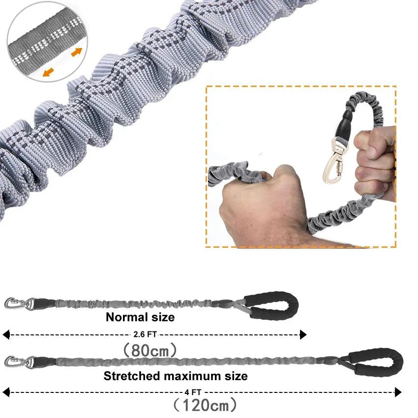 Elastic Reflective Dog Leash With Padded Handle For Medium Dogs And Cats Daily Walking
