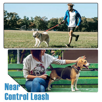 Elastic Reflective Dog Leash With Padded Handle For Medium Dogs And Cats Daily Walking