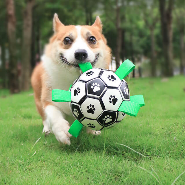 Durable Bite Resistant Soccer Ball Interactive Outdoor Play Toy For Dogs