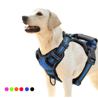 No Pull Anti Escape Dog Harness Equipped With Dual Leash Attachment Clips