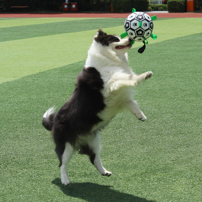 Durable Bite Resistant Soccer Ball Interactive Outdoor Play Toy For Dogs