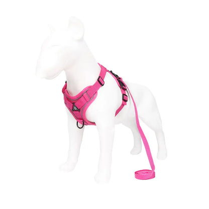 Reflective Breathable Adjustable Vest Harness And Leash Set For Puppies And Kittens