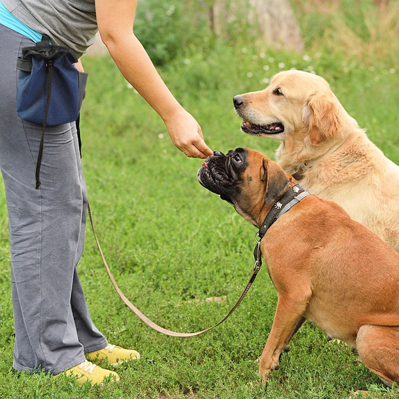 Portable Dog Treat Pouch Outdoor Training Storage Bag For Pet Walking Feeding