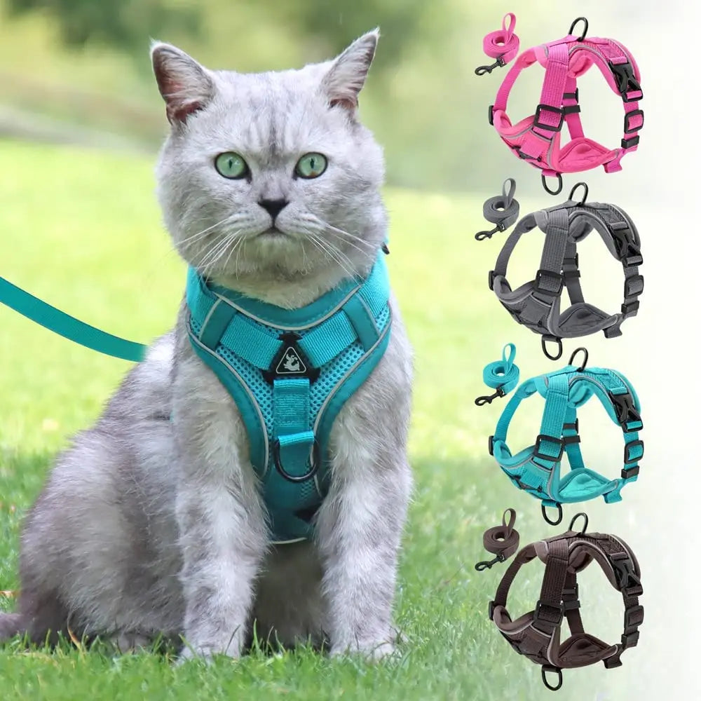 Reflective Breathable Adjustable Vest Harness And Leash Set For Puppies And Kittens