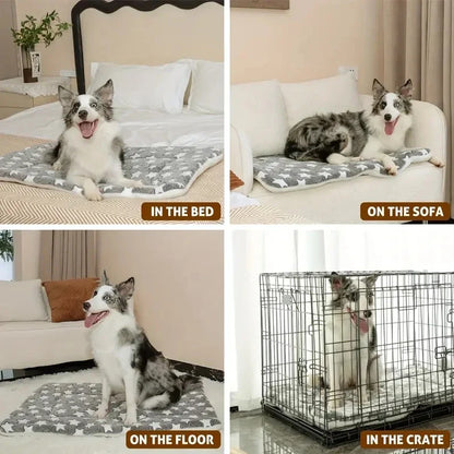 Soft Thick Fleece Bear Pattern Washable Pet Sleeping Mat Warm Bed Blanket For Dogs Cats