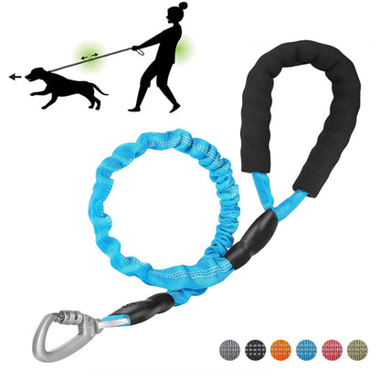 Elastic Reflective Stretch Dog Leash Safe Walking Rope For Dogs Daily Outdoor Use