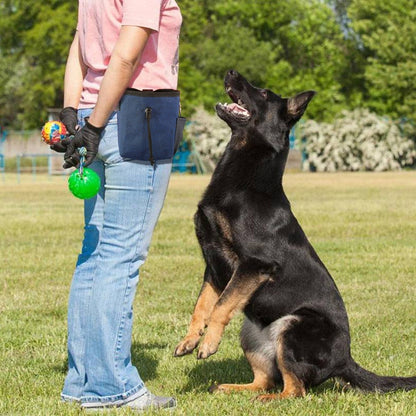 Portable Dog Treat Pouch Outdoor Training Storage Bag For Pet Walking Feeding