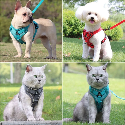 Reflective Breathable Adjustable Vest Harness And Leash Set For Puppies And Kittens