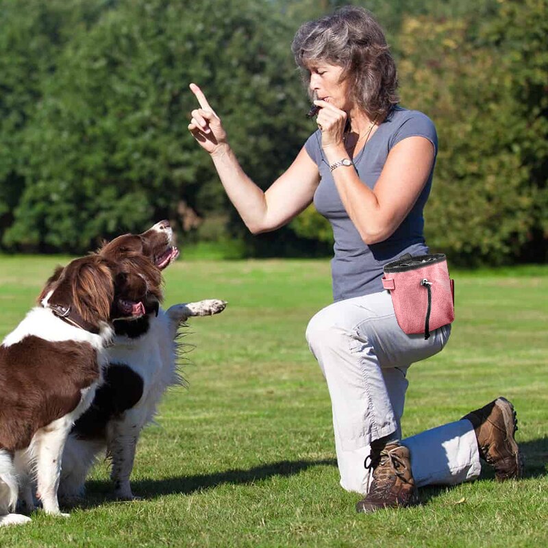 Portable Dog Treat Pouch Outdoor Training Storage Bag For Pet Walking Feeding