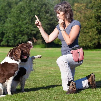 Portable Dog Treat Pouch Outdoor Training Storage Bag For Pet Walking Feeding