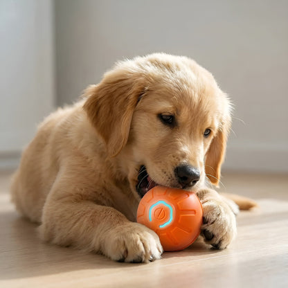 ActiveFetch Self Moving Interactive Smart Toy Ball For Indoor Cats