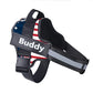Adjustable Personalized Dog Harness Available For Dropshipping Worldwide Supply