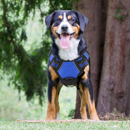 No Pull Adjustable Safety Dog Harness For Small Medium Large Breeds