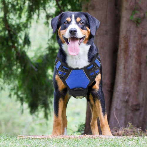No Pull Adjustable Safety Dog Harness For Small Medium Large Breeds