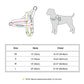 Adjustable Dog Harness - Nylon Padded Comfort - Harness for Walking Dogs