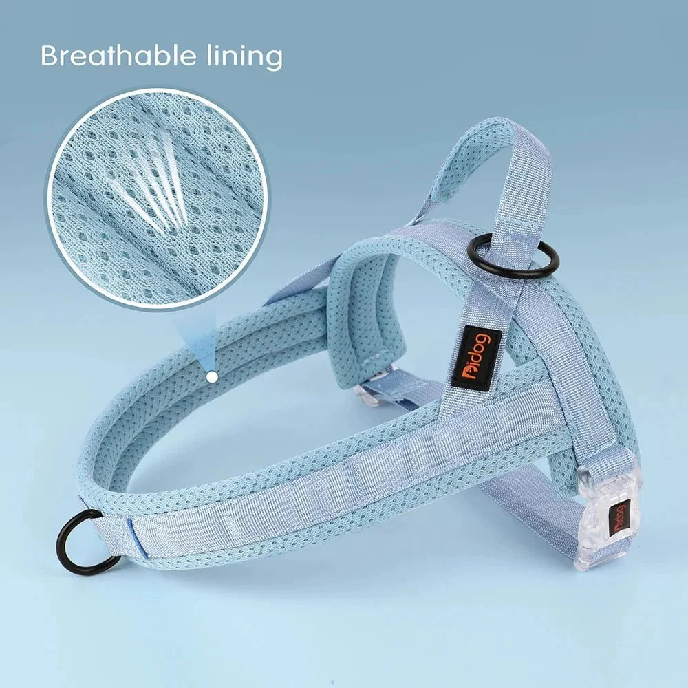 Adjustable Dog Harness - Nylon Padded Comfort - Harness for Walking Dogs