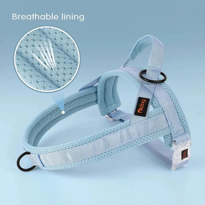 Adjustable Dog Harness - Nylon Padded Comfort - Harness for Walking Dogs