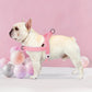 Adjustable Dog Harness - Nylon Padded Comfort - Harness for Walking Dogs