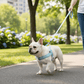 Adjustable Dog Harness - Nylon Padded Comfort - Harness for Walking Dogs