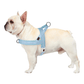 Adjustable Dog Harness - Nylon Padded Comfort - Harness for Walking Dogs