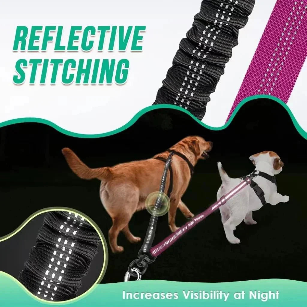 Adjustable Duo Dog Leash with Comfortable Bungee
