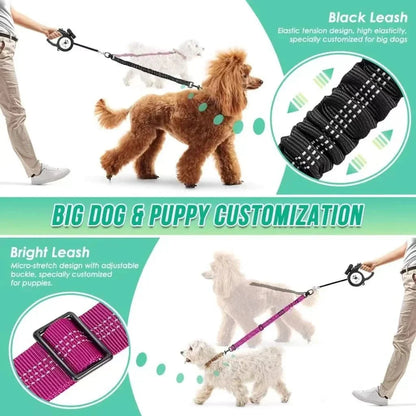 Adjustable Duo Dog Leash with Comfortable Bungee