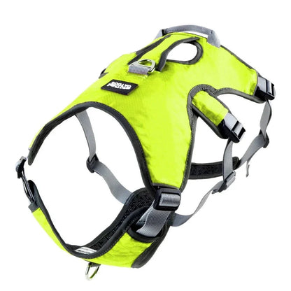 Adjustable Oxford Harness