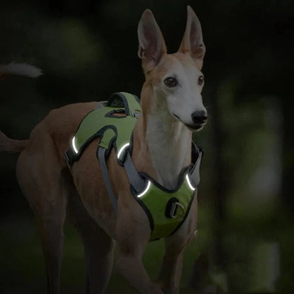Adjustable Oxford Harness