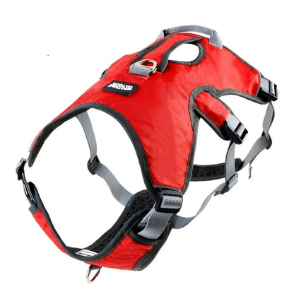 Adjustable Oxford Harness