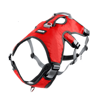 Adjustable Oxford Harness