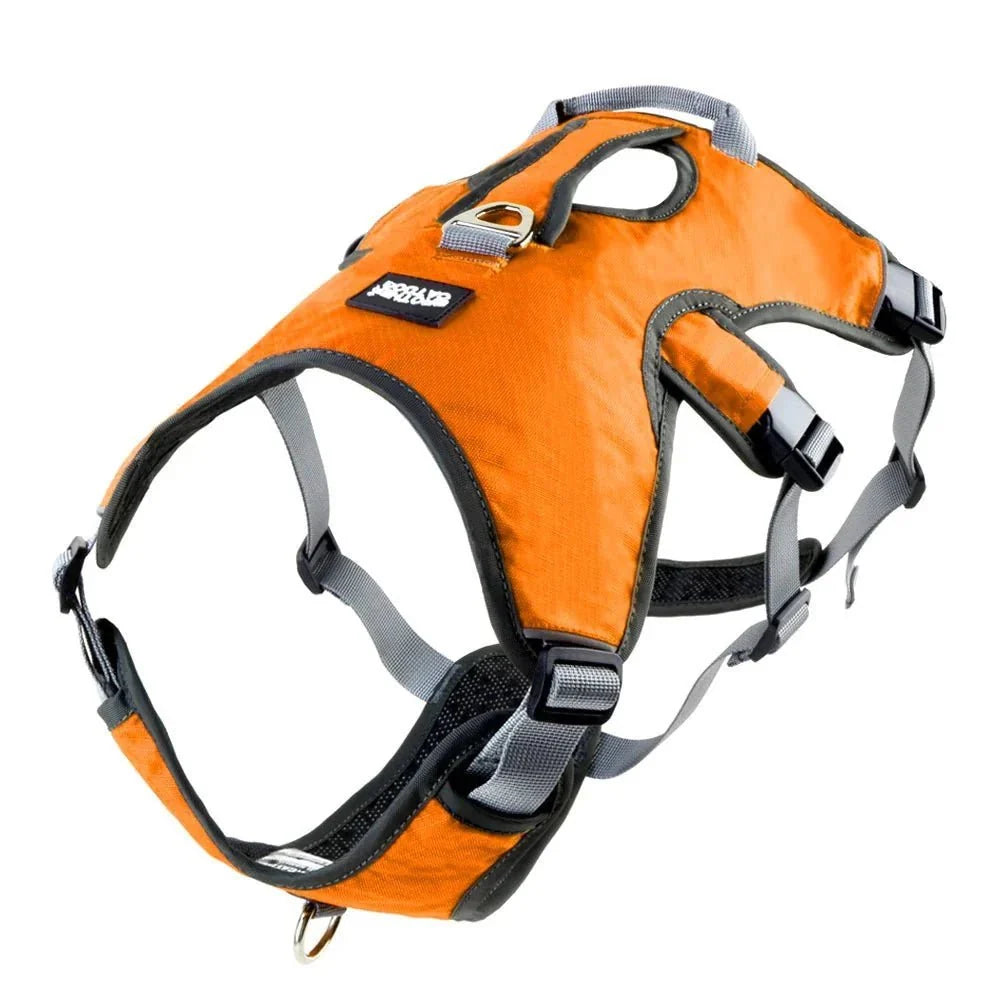 Adjustable Oxford Harness