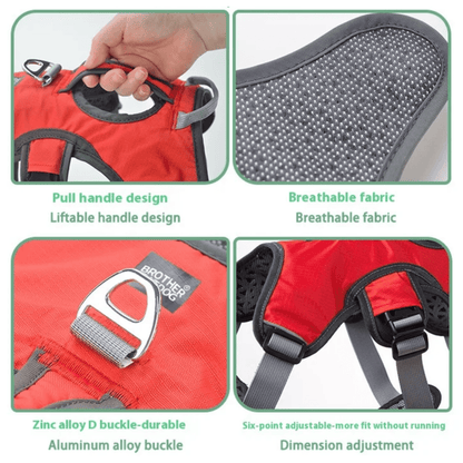 Adjustable Oxford Harness