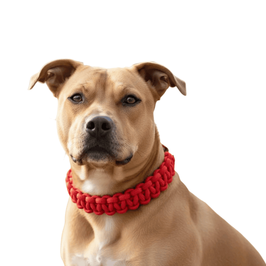 Adjustable Woven Nylon P-Chain for Dogs