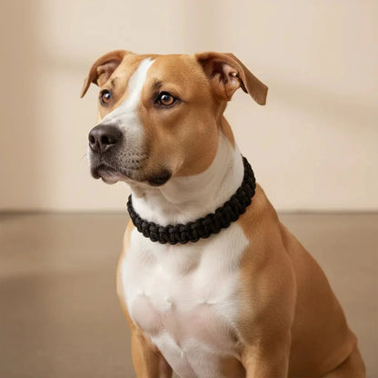 Adjustable Woven Nylon P-Chain for Dogs