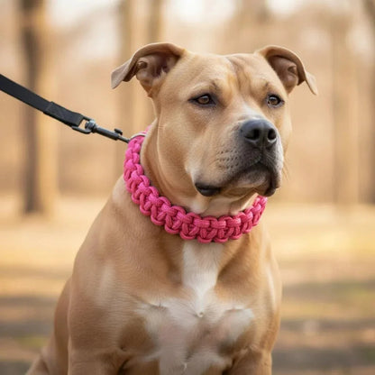 Adjustable Woven Nylon P-Chain for Dogs