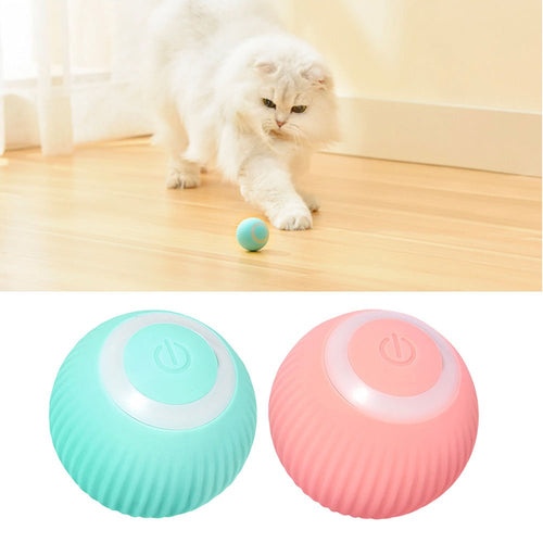 Automatic Interactive Ball Toy