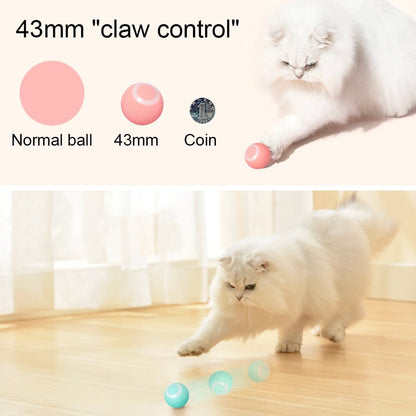 Automatic Interactive Ball Toy