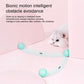 Automatic Interactive Ball Toy