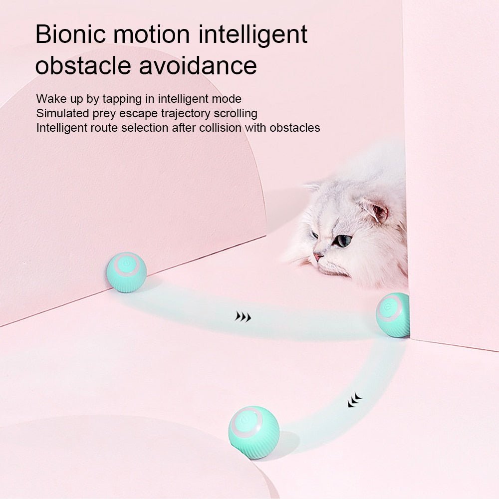 Automatic Interactive Ball Toy
